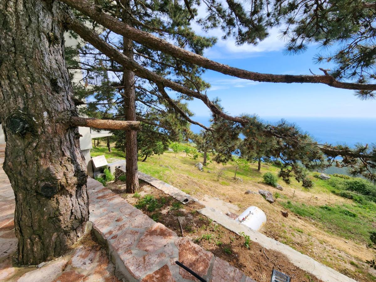 Llogora Dervishaliu Hotel Llogara National Park Buitenkant foto
